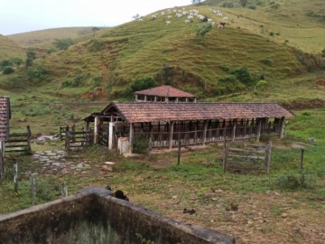 Fazenda  Venda